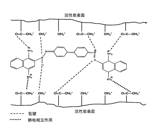 CR吸附到活性炭表面上的機(jī)理