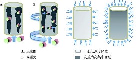 活性炭對(duì)甲苯的吸附測(cè)試