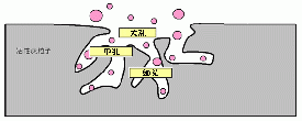 活性炭的來(lái)由