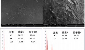 活性炭吸附2-甲基異冰片和光催化